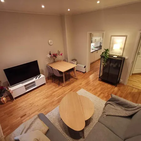 Hakonsgaten Apartment